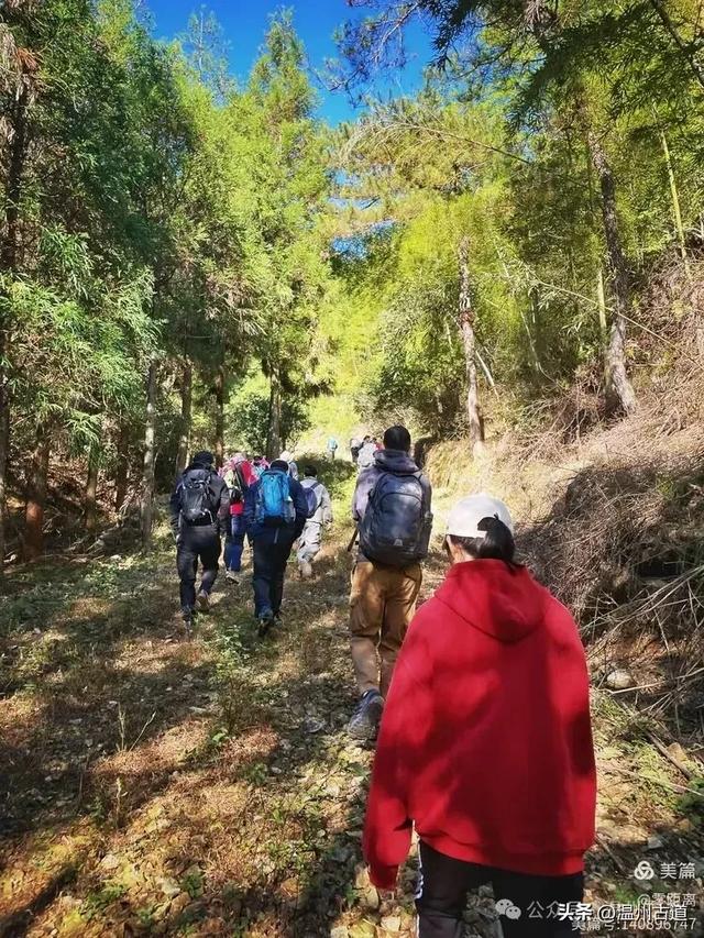 醉美林坑晒秋!这条连接两个避世古村落的省一级古道,周末可走起