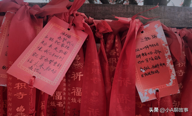 又一5A景区官宣永久免费！年入数亿，关键是秋天美到词穷！