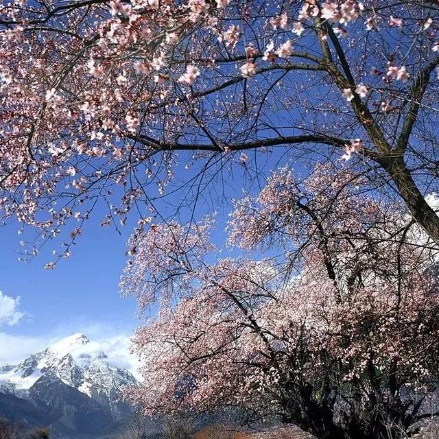 揭秘西藏顶级风光：除了拉萨这些地方更惊艳