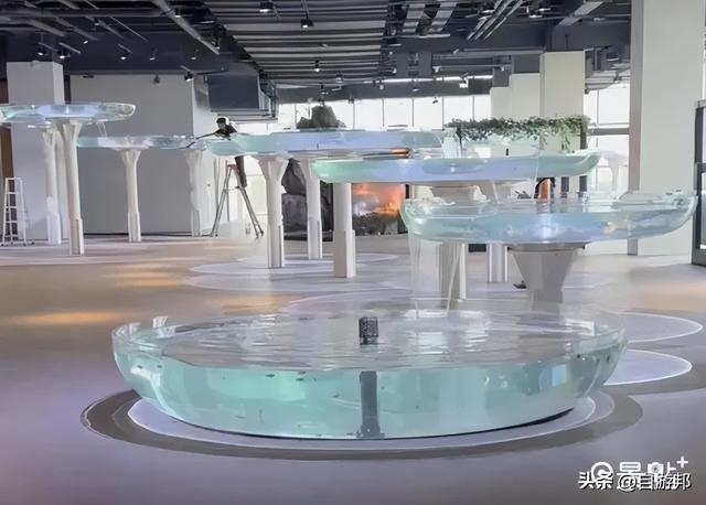 台中海洋馆 水母池艺术级水族体验 莲之水槽无敌梦幻