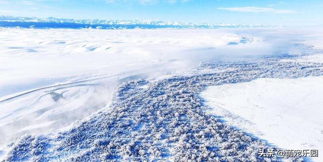 新疆寒冬变水晶王国，塔里木河畔冰霜奇景，游客直呼太震撼了