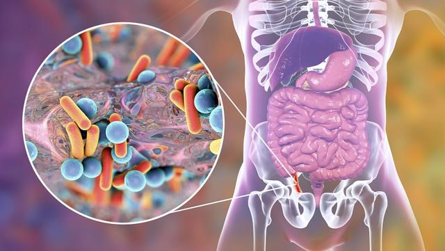 甲流与香烟有关？钟南山强调：过了50岁后，吸烟牢记“4不要”
