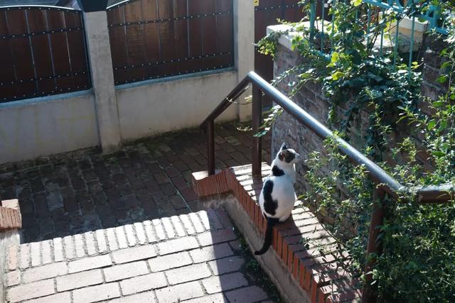 塞尔维亚，一座被轰炸过78天的城市的新生，贝尔格莱德一日游记