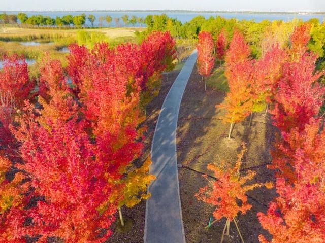 苏州秋天打卡线路推荐→