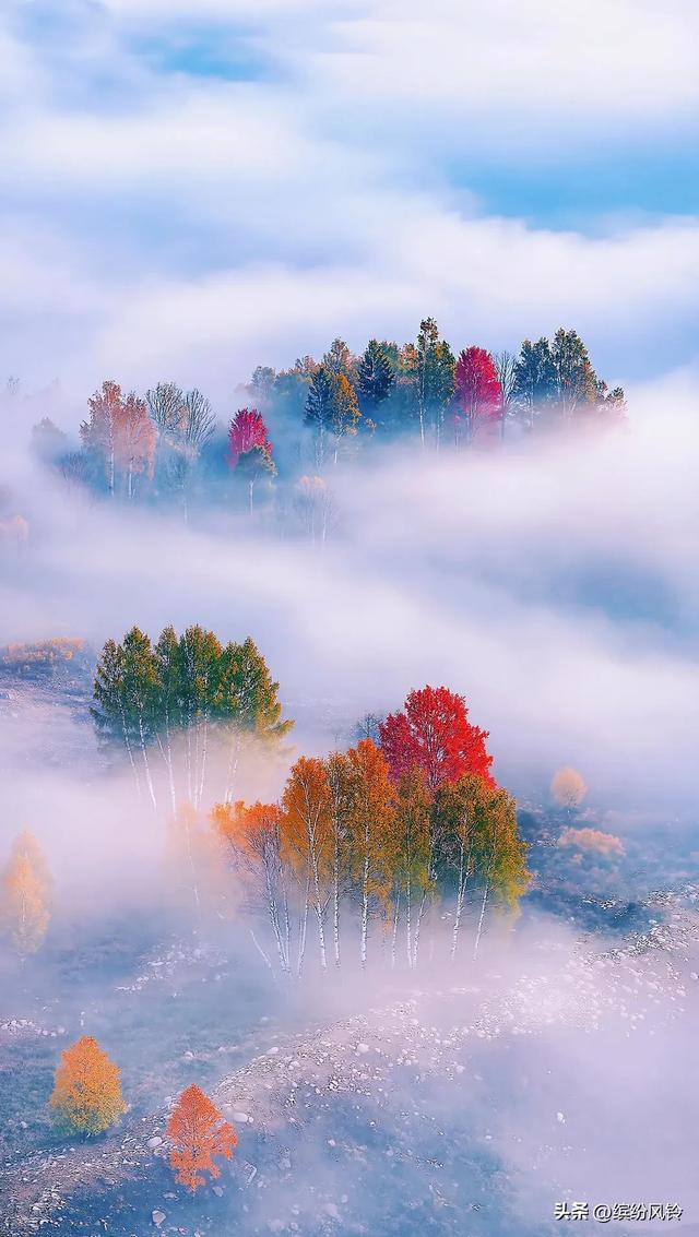 晨雾如纱,轻轻缠绕着远山近林