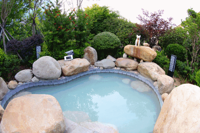 临沂人游临沂｜去河东热热闹闹赶大集，临沂人家门口的快乐清单