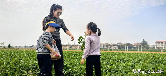 周末新玩法：云梦博物馆看秦简，新马村拔萝卜，武汉家庭乐翻天