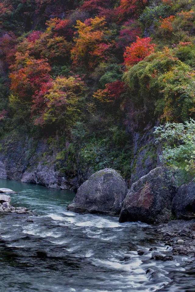 等霜落，看景去——徽县的秋，是首写满美的诗