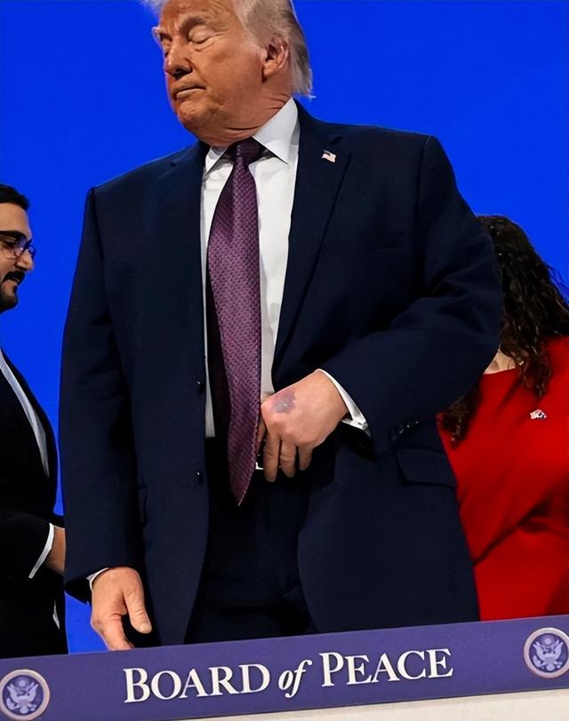 和平委员会刚宣布就生变？不到两天有国家退出	，特朗普急发撤销令