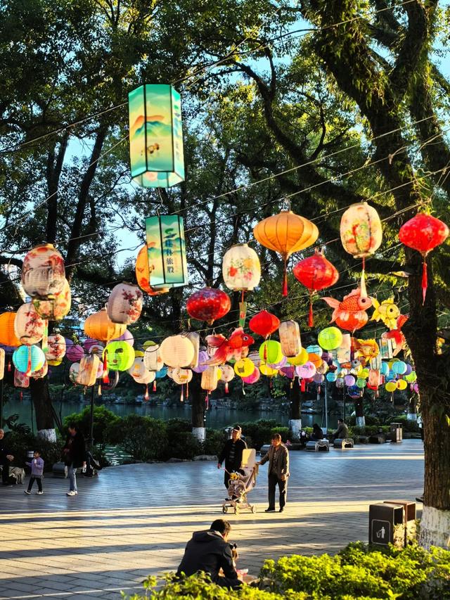 桂林：邂逅榕湖别样情！