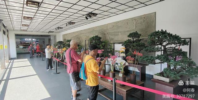 游西湖：杭州植物园之石蒜花展