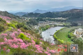春暖花开看十堰｜竹溪春季赏花踏青旅游线路来了图片