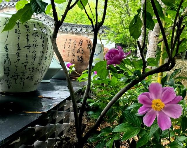 泾县：查济半山一音禅院行