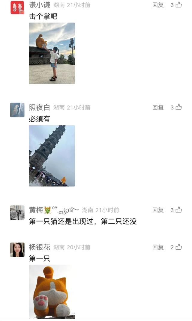 一周看点 | 一只“流量猫”，魅力有多大？