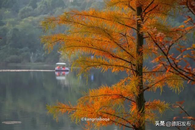 最新实拍！德阳东湖山都美成啥样了啊？太夸张了