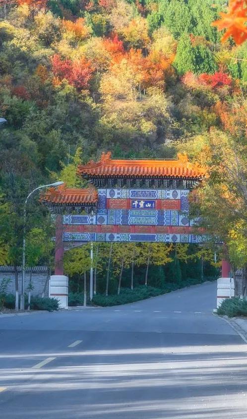 想要赏秋？来丰台就对啦——