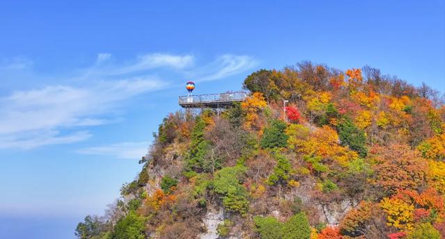 秋假不“宅家”!汉中这4条线路,承包你和孩子的秋日心动~