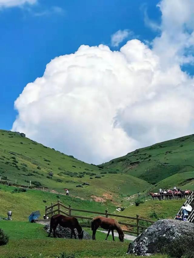 8月避暑超推荐这4个旅行地，忙累了，就冲进20℃的清凉夏日！