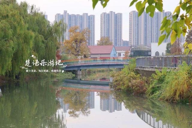 浙江宁波的水景公园，不仅是露营的好去处，还是银杏乌桕观赏胜地