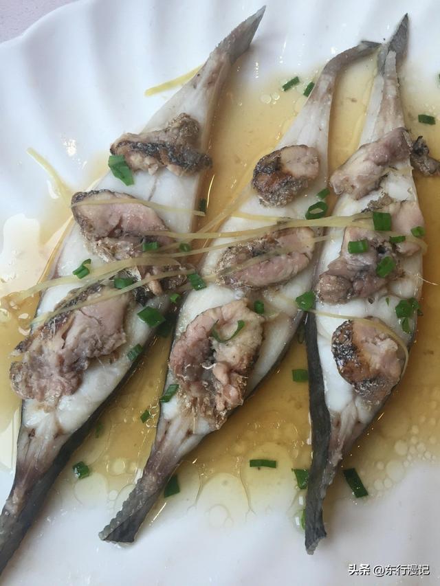 粤西三市：茂名县比市更有名，阳江和湛江谁是幸福城？