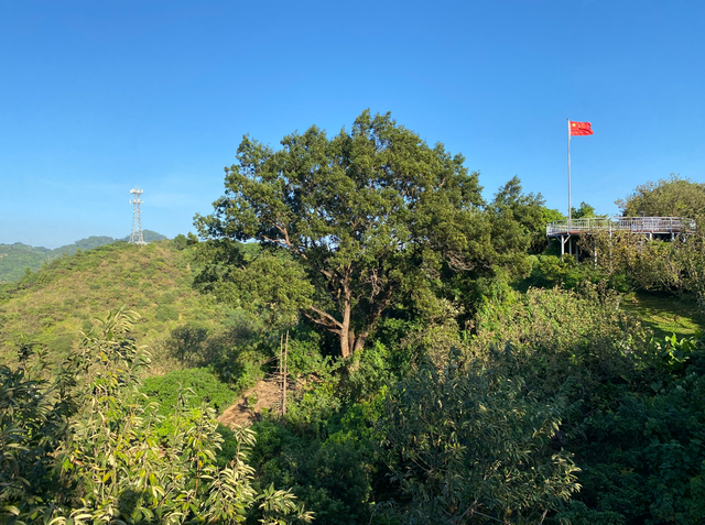 麒麟山真理公园1：这里的美景惊艳整个黄埔，你来过这里吗？