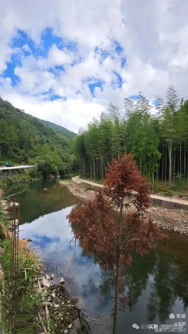 隐藏在温州深山幽谷的绿野仙踪,免费开放,知道的人却极少!