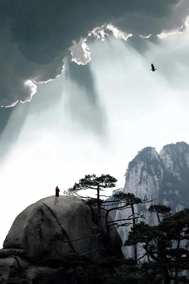手机壁纸精美图片（99）