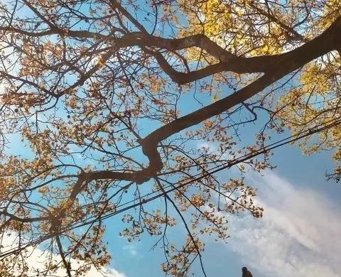 你别不信，大部分公公：都会趁儿子不在家的时候跟儿媳妇保持距离