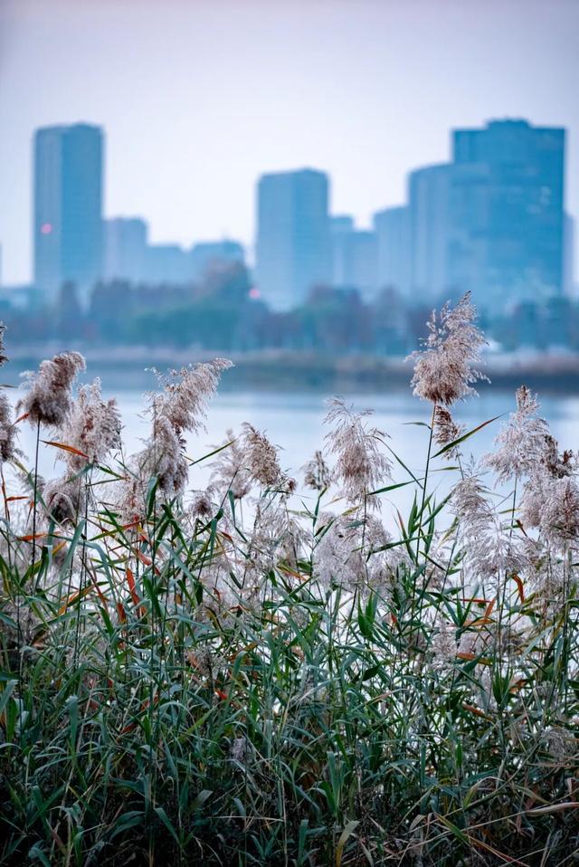 这个冬天，在济宁提升幸福感，你可以这样做