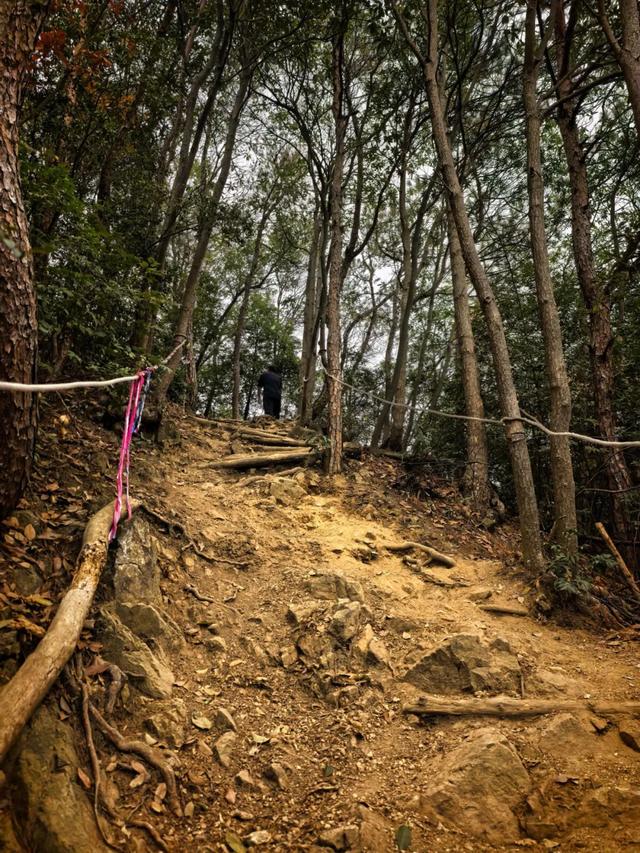 为什么越来越多的人喜欢爬山了？