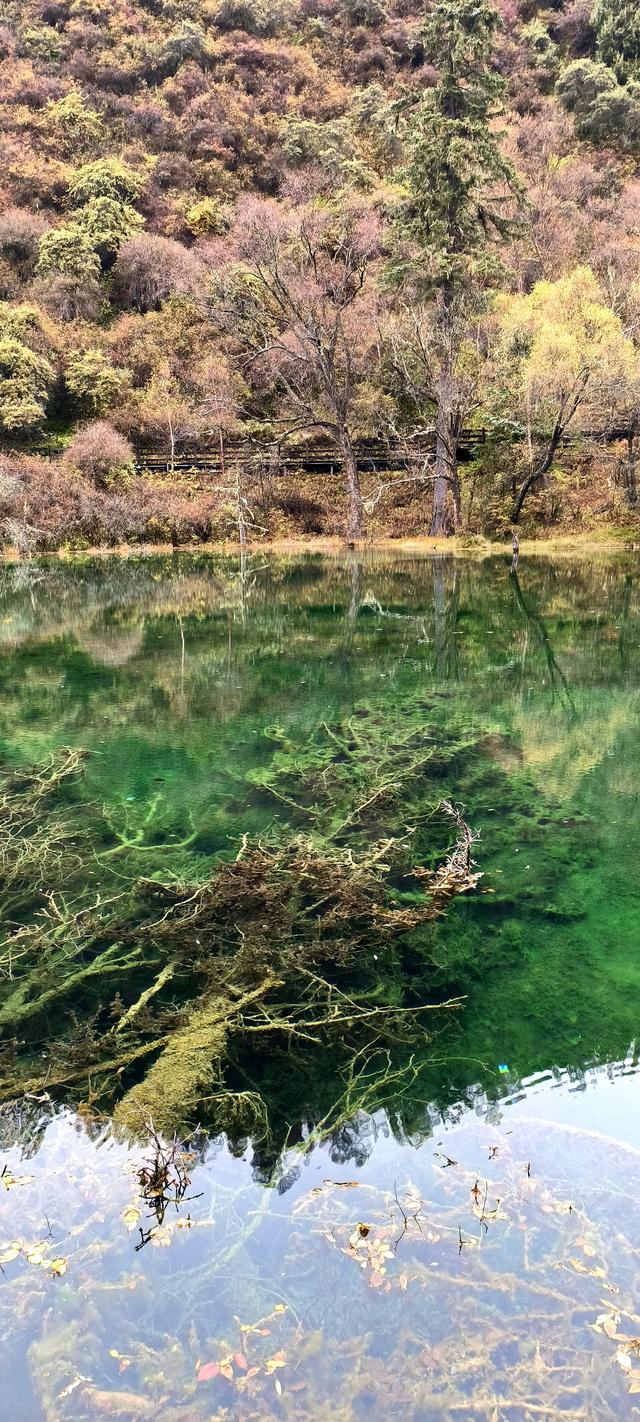 神仙池（一）竖幅