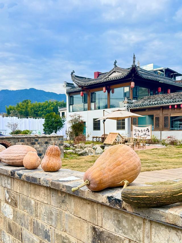 追着晚秋(黟县宏村镇塔川村)