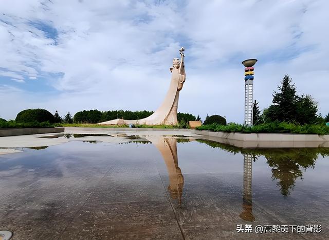 神木之旅：在沙漠中寻找生命的印记
