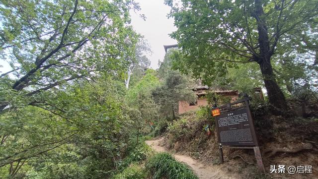 到青华山看千年卧佛，一路上垃圾随处可见