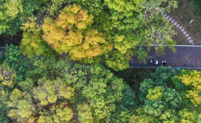走，打卡郑州秋景观赏点