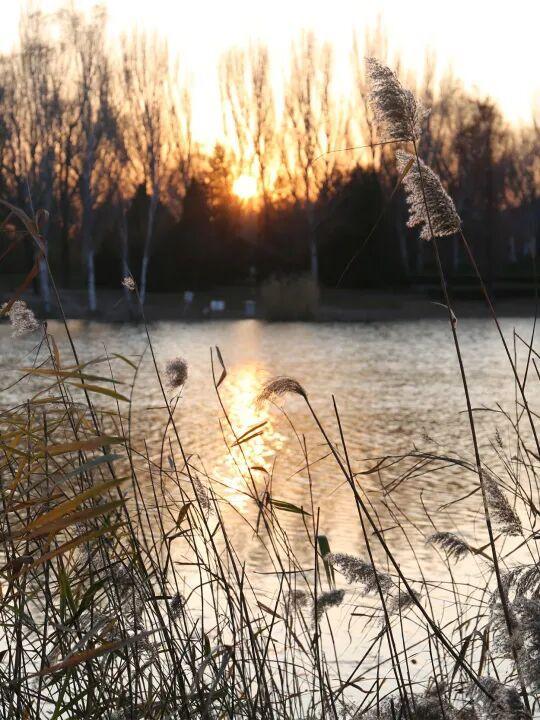 用电影的方式“打开”初冬！每一帧，都浪漫