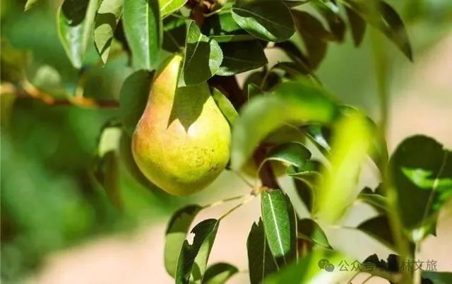 仪式感UP！汤泉沸暖冬，泡出吴堡诗意慢生活~