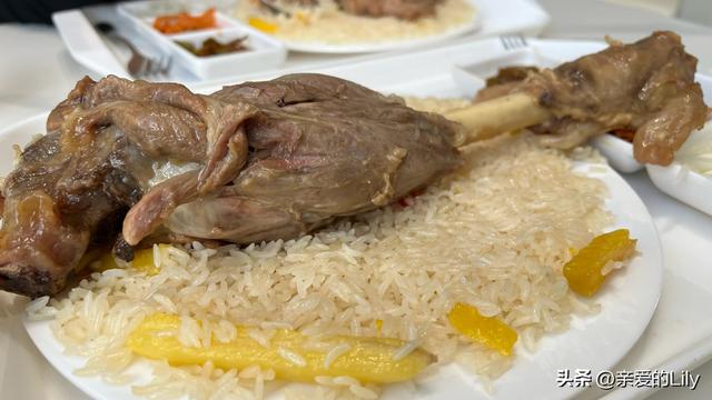 215公里五菱宏光mini电车，一个人自驾游新疆4个月，要花多少钱？