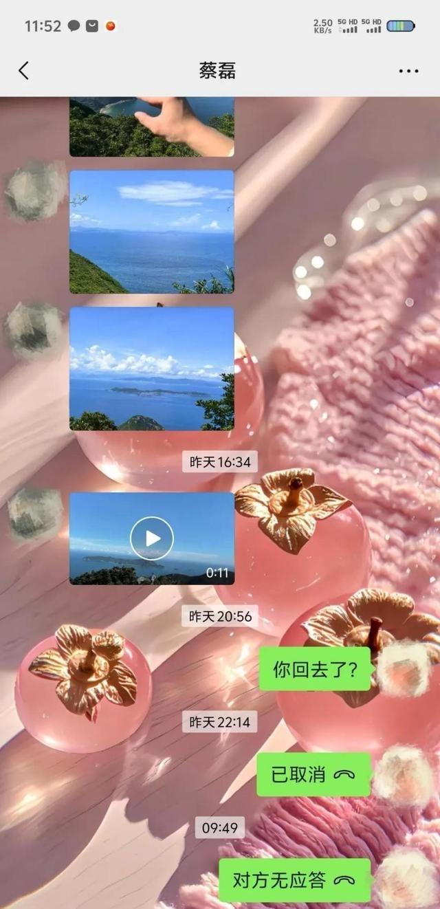27岁蔡磊已找到！被曝现场惨不忍睹 尸体身首分离，哥哥发声引争议