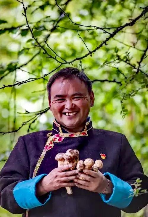 林芝波密,被称为“西藏瑞士”,有中国最美的原始森林