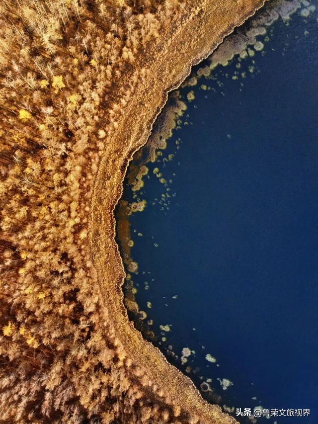 北纬47°的冰雪秘境：阿尔山，冬季人少景美的宝藏旅行地