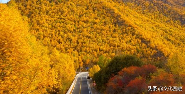 治愈到犯规！西藏这座小城5种 “会呼吸” 的颜色，抚平所有不安焦虑