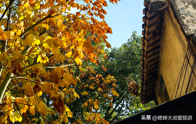 被江浙沪“原始古镇”迷住了，有小时候记忆，节假日都惬意！