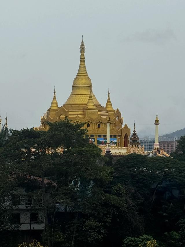 我遇到的两个导游，都有类似的故事