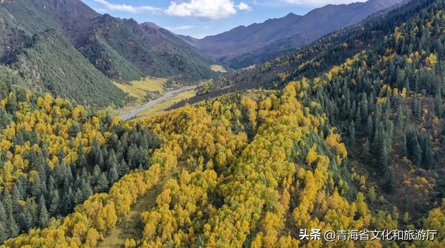 谁还没被青海秋景惊艳过？这8处网友力荐打卡地，承包你的秋日旅行！