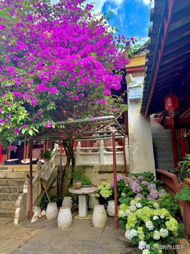 滇池畔小众村落：杨林港——观音山——百草村一日游！