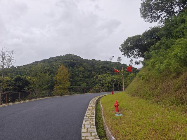 西丽湖国际科教城绿道高清随拍