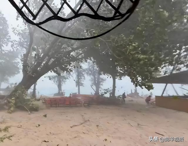 已证实！中国女游客被砸中去世，女儿发声：原计划次日回国，“刚退休的年纪，没想到意外快一步”