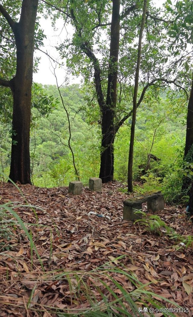 广州从化区：格岭白云山登山日记