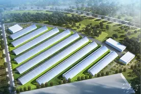 西安市农业数字化育苗项目落地临潼图片